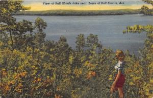 Bull Shoals Arkansas~Beauty Looking over Bull Shoals Lake~1940s Postcard