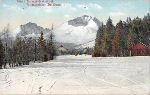 B23899 Tatra Tatry Tatraszeplaker Ski Wiese slovakia