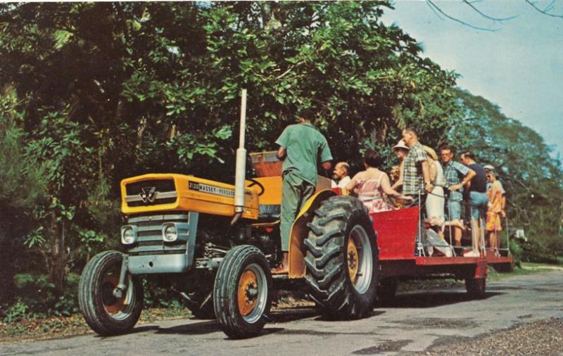 Plantation Tour at Brimmer Hall, Port Maria, Jamaica - Massey Ferguson Tractor