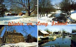 Winter on Long Island Long Island NY Unused