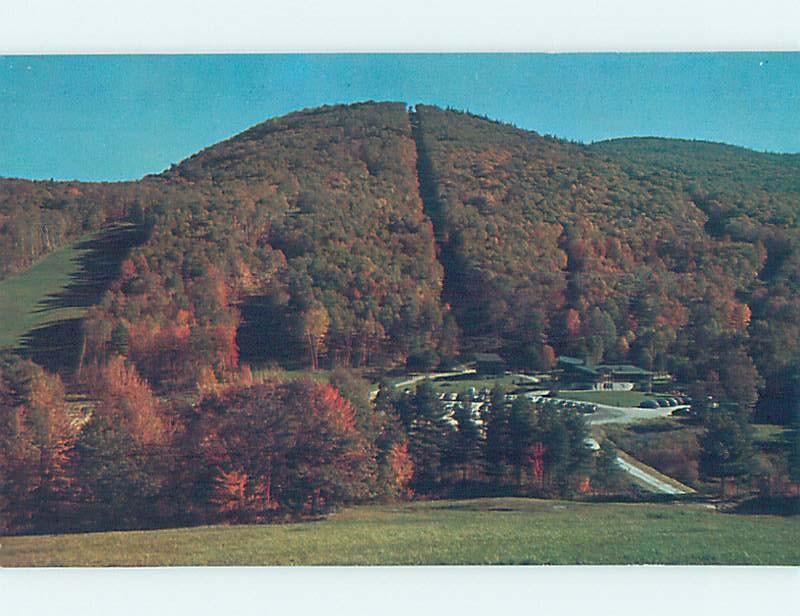 Pre-1980 PARK SCENE Mount Sunapee State Park - Newbury & Newport NH H1814