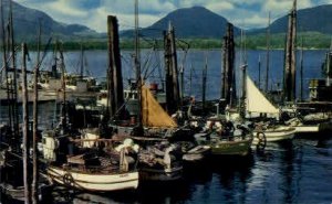 Huge Fishing Fleet - Ketchikan, Alaska AK