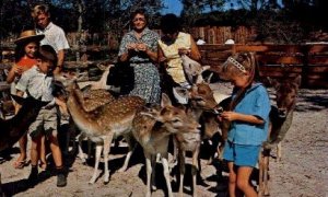 Deer Park, Floridaland - Misc