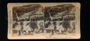 229171 Palestine Garden of Gethsemane 1897 year STEREO PHOTO