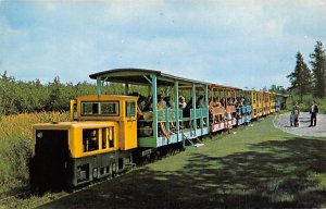 The Toonerville Trolley 21 Miles Cruise To Tahquamenon Falls Upper Peninsula MI 