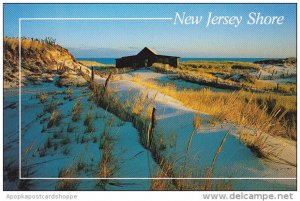 Sand Dunes At The Jersey Shore New Jersey