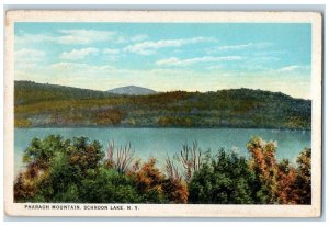 c1920 Pharaoh Mountain Scenic View Schroon Lake New York NY Vintage Postcard 