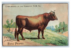 1870s Domestic Sewing Machine Prize Jersey Bull Pedro #2 P187