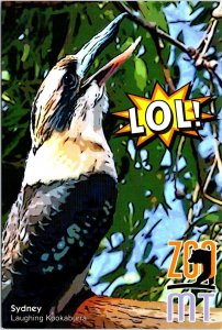 Sydney the Laughing Kookaburra Zoo Montana Billings MT Postcard