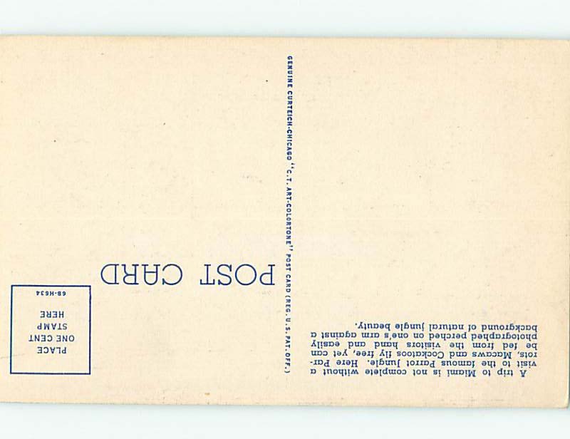 Linen PARROT JUNGLE SCENE Miami Florida FL AF9453@