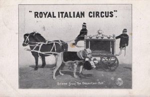 Royal Italian Circus Monkey Driven Transport Dog Act Antique Postcard