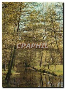 Postcard Modern Green Venice Deux Sevres Typical view of the Marais Poitevin