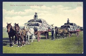 Hauling Wool to Market Western Plains used c1910