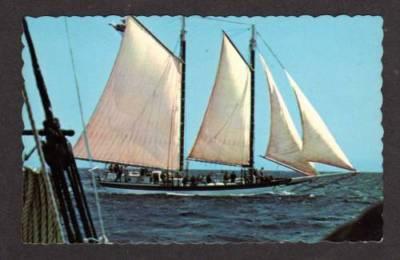 ME Schooner Stephen Taber CAMDEN MAINE Postcard PC