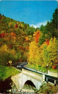 Cold River Bridge Mohawk Trail Massachusetts MA Postcard PM N Adams Cancel WOB 