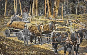 Logging Horse Wagon Hauling Lumber Vancouver BC Canada 1910c postcard