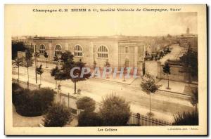 Old Postcard Folklore Wine Vintage Champagne Mumm's cellars