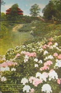 Rochester NY Park c1910 Postcard
