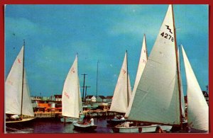 New Jersey, Surf City - Sail Boats At Yacht Club - [NJ-282]