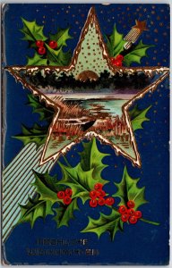 Frohliche Weihnachten, German Christmas Greeting, Star, Holly Branches, Postcard