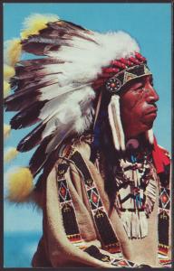 Black Elk,Sioux Warrier Postcard