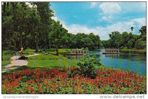 Florida Saint Petersburg View Of World Famous Glass Bottom Boats On Beautiful...