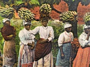 Postcard Greetings from Jamaica  Banana Carriers, showing Breadfruit Tree. Y1