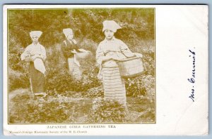 Pre-1907 JAPANESE GIRLS GATHERING TEA WOMAN'S FOREIGN MINISTRY SOCIETY POSTCARD