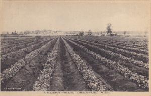 Michigan Decatur Celery Field Albertype