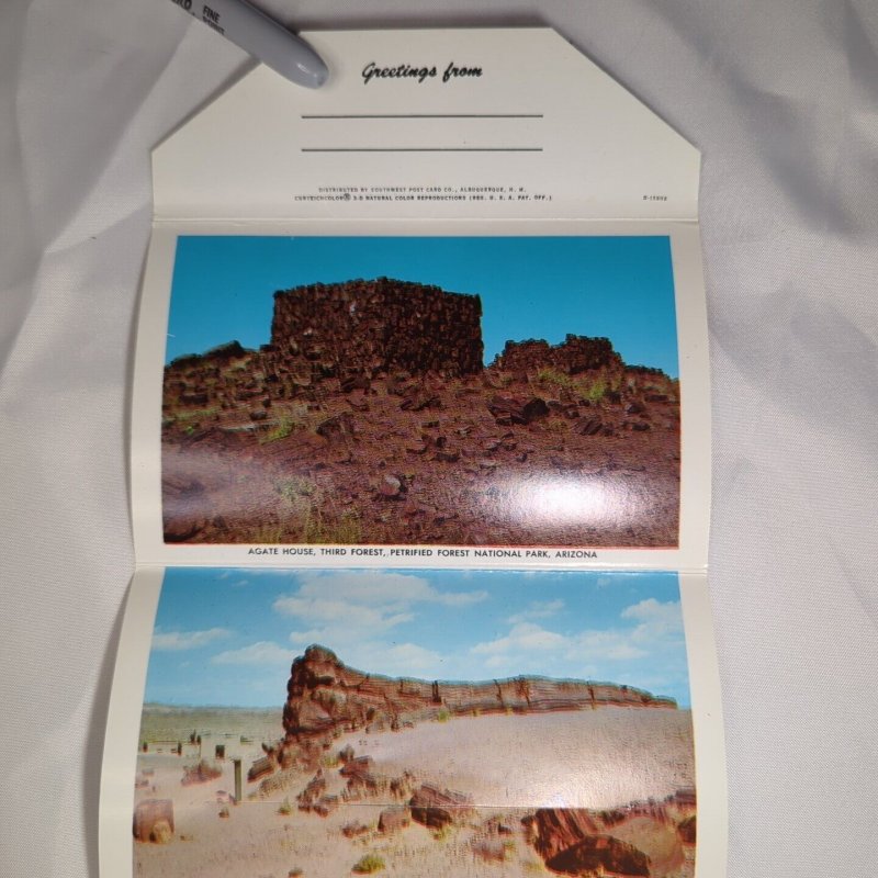 Petrified Forest National Park Arizona Vintage Souvenir Postcard Folder