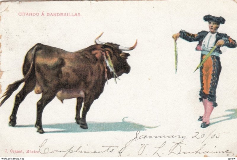 Bull Fighting ; Citando a Banderillas , 1905