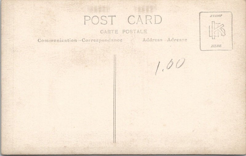 RPPC Gypsy Bride Woman Beautiful Veil Pearls Fur Blanket on Lawn Postcard B23