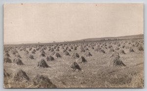 RPPC Farm Scene Hay Harvest Eichelberger Wheat Field ND Postcard Y24
