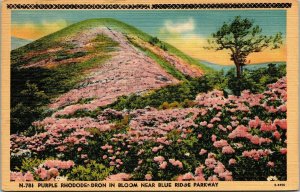 Purple Rhodendron Bloom Blue Ridge Parkway Linen Postcard VTG PM Cancel WOB Note 