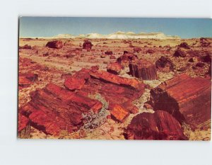 Postcard Petrified Forest of Arizona