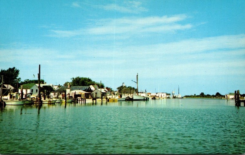 Maryland Smith Island The Harbor At Ewell