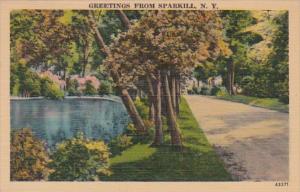 New York Greetings From Sparkill 1942