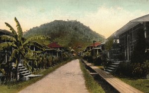 Vintage Postcard 1910's A Street View in Pedro Miguel Dainty Cottages Families