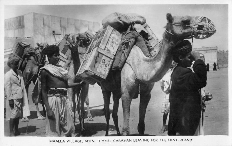 BR100094 maalla village aden camel caravan types folklore costumes yemen
