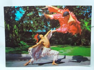 The Exciting Sabong Cockfight Dance by Filipinescas Phillipines 1975  Postcard