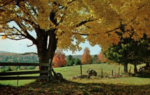 New England Fall Scene