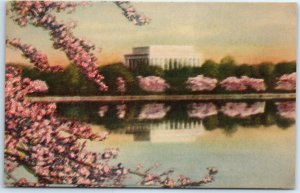 M-56686 Lincoln Memorial & Cherry Blossoms Washington District of Columbia