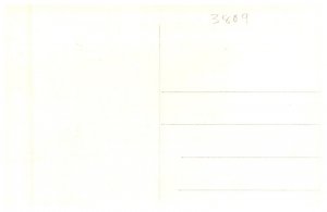 Camels  fighting , RPPC