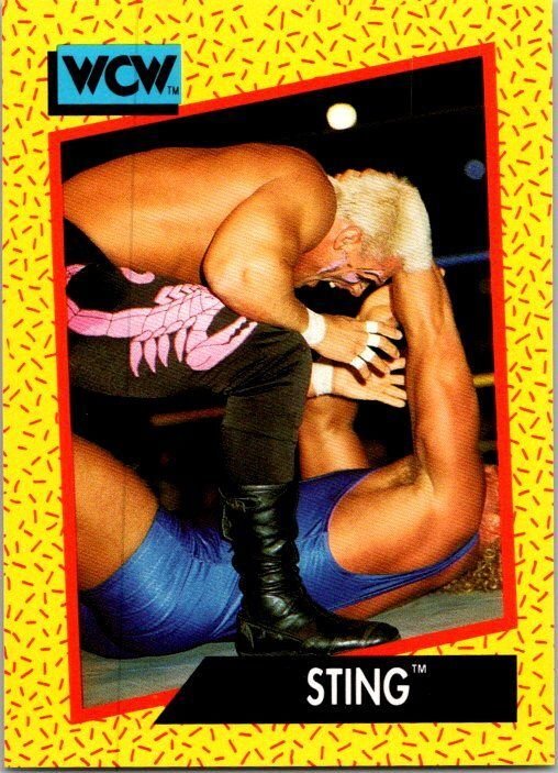 1991 WCW Wrestling Card Sting sk2108