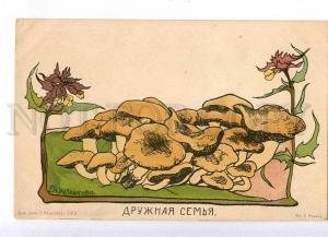 231838 RUSSIA KRUGLIKOVA mushrooms Friendly family St. Eugenie