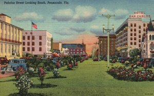 Vintage Postcard Palafox Street Hotel San Carlos Looking South Pensacola Florida