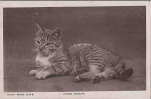 Animals Postcard - Pets, Pet, Cats, Cat, Kitten - Leisure Moments Ref.RS30783 