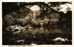 CPA Lisboa- Sintra, Monserrate-Lago dos Banhos. PORTUGAL (760720)