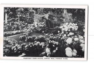 St Louis Missouri MO Vintage Postcard Forest Park Harvest Time Scene Floral