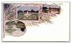 Multiview Vignette St Louis Missouri UNP PMC Private Mailing Card Postcard N16